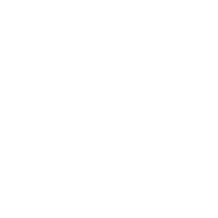 100% High Workmanship Service